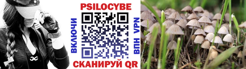 Псилоцибиновые грибы Cubensis  Заозёрск 
